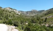 Tocht Stappen Cheval-Blanc - Gorges de regalon - Photo 4