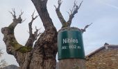 Tour Wandern Nibles - NIBLES . CANAL DU MOULIN . PASSAGE DE L HOMME MORT . S JACQUES O L - Photo 1