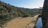 Tour Wandern Aubazines - Aubazine- Puy de Pauliac-Canal - Photo 1