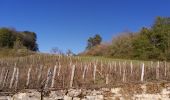 Tour Wandern Saint-Jean-le-Vieux - forêt de Saint Jean - Photo 3