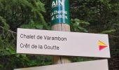 Percorso Marcia Chézery-Forens - Tour du Crête de la goutte - Photo 8