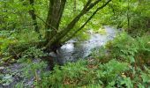 Trail Walking Bouillon - Bellevaux 190923 - Photo 5