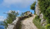 Trail Walking Chamaloc - RA Rocher de Chironne - Photo 5