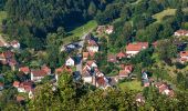 Tocht Te voet Schönau (Pfalz) - Salztrippler-Tour - Photo 1