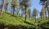 Trail Walking Dangolla - Sri-08 Kandy - Nuwara Eliya - Photo 9