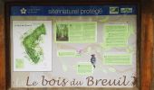 Percorso Marcia Pennedepie - Pennedepie - Photo 1