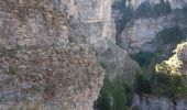 Randonnée Marche Beauvezer - les gorges st pierre. Colmars les Alpes. Villars  - Photo 6