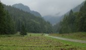 Excursión A pie okres Tvrdošín - Náučný chodník A. Kocyana v Oraviciach - Okruh A - Photo 4