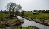 Randonnée A pied Libramont-Chevigny - Promenade non balisée entre Remagne et Freux - Photo 2