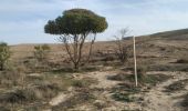 Trail On foot Ramat Negev Regional Council - Lots Cisterns circuit - Photo 10