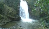 Tocht Te voet Forgès - La cascade de Murel - Photo 4