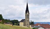 Tour Zu Fuß Waldkirchen am Wesen - 4/4-Blick-Runde - Photo 6