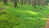 Tour Wandern Masevaux-Niederbruck - Reco avec ALAIN..Rando CLAS du 29/08/2024 - Photo 17