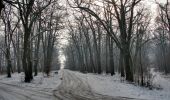 Randonnée A pied Târgu Mureș - Târgu Mureș (Platoul Cornești) - Dealul Nou - Sângeorgiu de Mureș - Photo 7