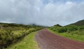 Tour Wandern Fajã Grande - Le tour des lacs de cratère à Flores - Photo 13