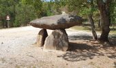 Percorso Marcia Vernet-les-Bains - dolmen - Corneilla de conflent -Fillol - Vernet les bains  - Photo 19