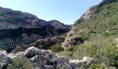 Randonnée Marche Duilhac-sous-Peyrepertuse - 7eme étape sentier cathare  - Photo 7