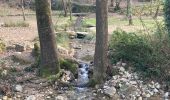 Trail Walking Saint-Zacharie - Saint-Zacharie  - Photo 1