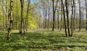 Tocht Stappen Gerpinnes - En prévision des jacinthes des bois  - Photo 2