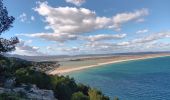 Trail Walking Leucate - leucate . franki plage . leucate - variante - Photo 14