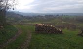 Randonnée Marche Montigny-lès-Arsures - Montigny les Arsures - Photo 17