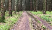 Trail Walking Nassogne - Nassogne Forêt St Hubert Nassogne  - Photo 10