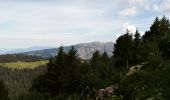 Percorso A piedi Livet-et-Gavet - Lac Fourchu (14 juillet 2020) - Photo 2