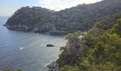 Tocht Stappen Hyères - Hyères - La presqu'île de Giens - Circuit côtier ouest  - Photo 10