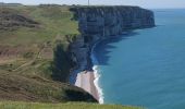 Excursión Senderismo Étretat - Falaise d'Etretat - Photo 2