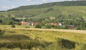 Tour Zu Fuß Bretzfeld - Herrenhölzle Rundweg 2 - Photo 2