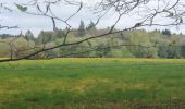 Trail Walking Brandivy - PR_56_Brandivy_AA_01_Etang-De-La-Foret_Circuit1b_20240417 - Photo 4