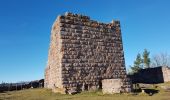 Excursión Senderismo Ammerschwihr - Trois-Epis - château du Petit Hohnack - Photo 5