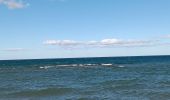 Trail Walking Leucate - leucate . franki plage . leucate - variante - Photo 11