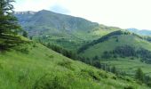 Trail Walking Beuil - mont Mounier  - Photo 13