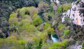 Tour Zu Fuß Cabasse - SityTrail - Autour de Cabasse - Photo 14