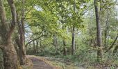 Tocht Stappen Dax - Boucle le long de l Adour - Photo 5