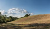 Trail On foot Viano - Ca' Bertacchi - Regnano - Santa Maria al Castello - Ca' Bertacchi - Photo 3