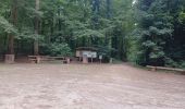 Percorso Mountainbike Sint-Genesius-Rode - 62 km de Halle - Photo 2