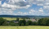 Trail Walking Houyet - Houyet - Hour - Wiesme - Mesnil-Eglise - Photo 20