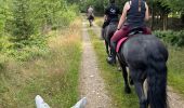 Tocht Paardrijden Vielsalm - Mont-le-Soie Boucle orange - Photo 19