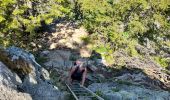 Trail Walking Passy - SIXT PASSY RESERVE: PLAINE JOUX- LAC DE PORMENAZ - REFUGE DE MOEDE ANTERNE - retour par la piste - Photo 9