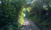 Trail Walking Enghien - Enghien 16 km - Photo 4