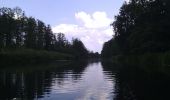 Excursión A pie Lübben (Spreewald) - Rundwanderweg Batzlin - Photo 10