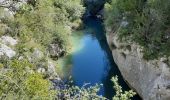 Trail Walking Comps-sur-Artuby - Comps-sur-Artuby     Le Mauvais Pont et les Chapelles - Photo 3