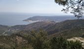 Randonnée Marche el Port de la Selva - ES-Sant-Pere-Rhodes-boucle-5km - Photo 12