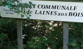 Randonnée Marche Bouilly - Forêt de Laines aux Bois - Photo 2
