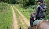 Trail Horseback riding Étalle - Etalle 11 km - Photo 9