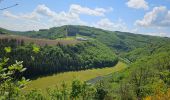 Tour Wandern Goesdorf - Goebelsmühle  - Photo 5