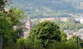 Tour Wandern Günsbach - Gunsbach - Munster - Photo 6