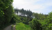 Percorso A piedi Bad Staffelstein - Naturlehrpfad Stublang (Grüne Raute) - Photo 3